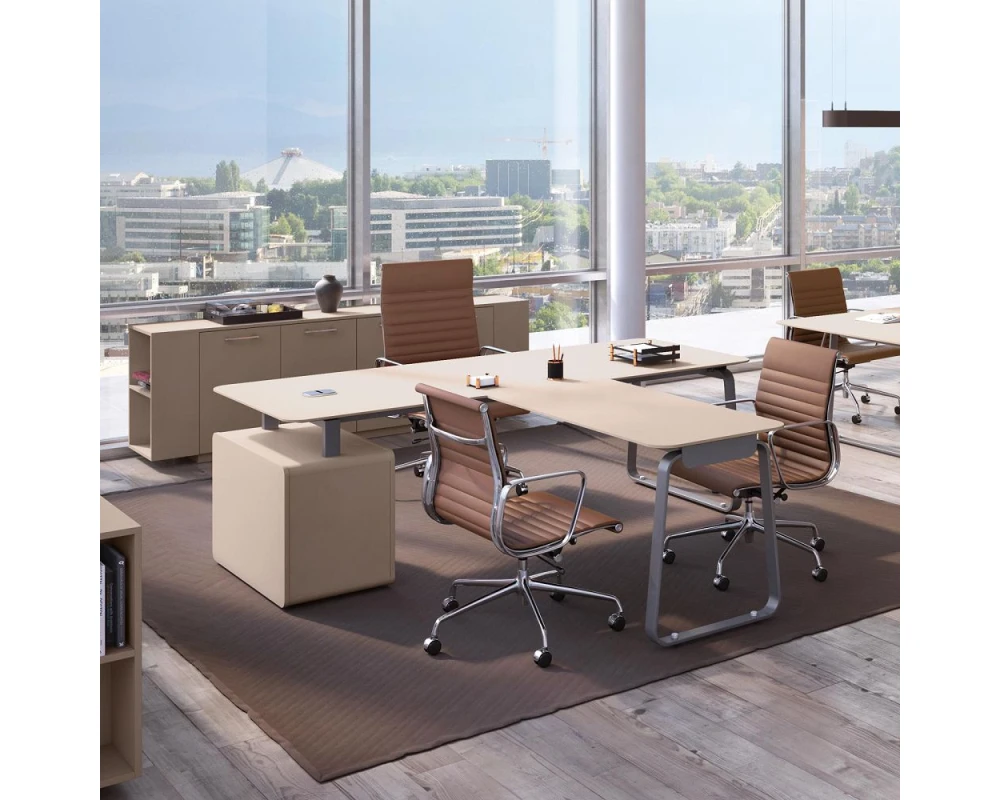 Кабинет руководителя Генезис / Genesis