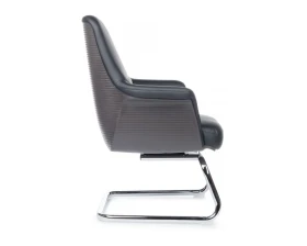 Кресло RV ДИЗАЙН Верди-СФ / Verdi-SF (D-655) images