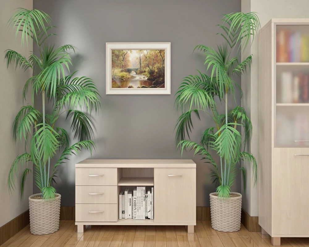 Кабинет руководителя Фёст / First