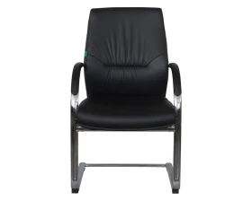 Кресло RV ДИЗАЙН Алваро-СФ / Alvaro-SF (C 1815) images