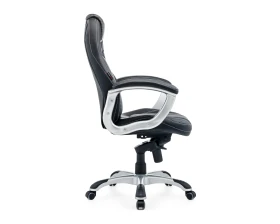 Кресло Bruny 2183Н Экокожа, Черный images