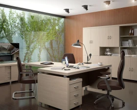 Кабинет руководителя Модерн images